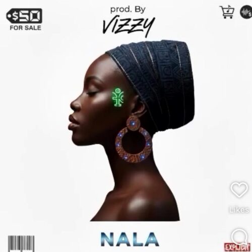 46e51e70-62b1-4c08-a111-f70f27786376 Nala3